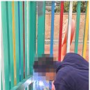 영동제일유치원 이미지