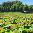 바람길여행사