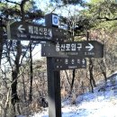 봉황봉 이미지