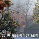 가을의 전설 이미지