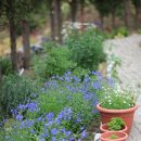 영국목장 이미지