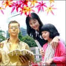 북카페 헤밍웨이 머니투데이