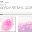 금샘동물병원 이미지