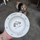 강아지그림 | 🐾 월월월 앳더모먼츠 댕데이클래스 – 강아지 밥그릇 그림 그리기 후기 🐾