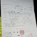 꽃돼지실비