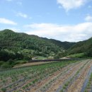 사등마을 이미지