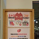 견생냥품 무인24시 용인흥덕점 | 용인 무인24시 견생냥품