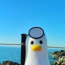 죽성드림세트장 이미지