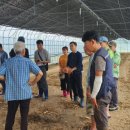 공작산마을 이미지