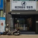 애견미용사 장윤희 | 대구 애견미용학원 애견미용사장윤희 20년 경력 실무 중심 교육