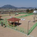 요천생태습지공원 애견놀이터 이미지