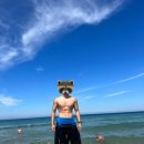 비치얼스서프 | 양양 서피비치 당일치기 서핑, 햄버거, HDEX 스트롱비치 체험 및 방문기 내돈내산