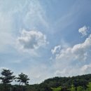 여주-0515 이미지