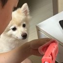 집고치는오빠 이미지