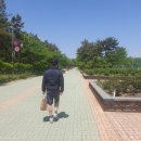 영마루공원 축구장 이미지