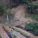 대박농장2 이미지