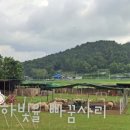 빠꿈사리