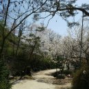 숲속의둥지 이미지