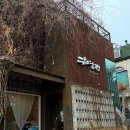 인천 연수구 야생화를 기르고 파는 야생화 카페 하연재 내돈내산 솔직 리뷰