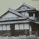 용교농장 네이버블로그