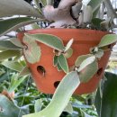 환성농장 이미지