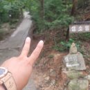 운수사 자판기