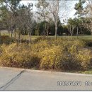 청도의 아침 이미지