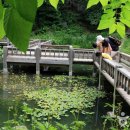 용인자연휴양림 이미지