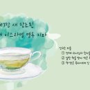 새창조 이미지