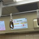 로로고트래블 | 2025. 11월 여자 넷이서 도쿄 여행 #준비기 #일정 #루트 #일본여행 #이마카츠 예약 #윌러버스 #스시로...