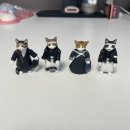 나메네코 고양이 피규어 콜렉션이 나왔다!! 전 4종 구매후기!