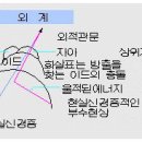 S.프로이트에 의한 신경증의 치료법과 그 심리학적 이론체계. 이미지