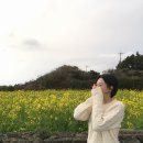 RR-1112[비자림로]-하-16 | 🇰🇷 Jeju (3)