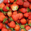 연봉정마을 이미지