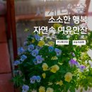 서계리숲 이미지