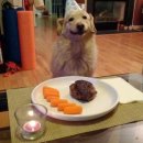 생일이개 이미지