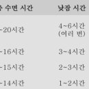 경기도 수원시 팔달구 수원천로210번길 37 (인계동) | [모조피트니스] 두뇌와 신경계의 발달