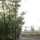 이팝 이미지