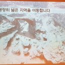 데브드래곤 이미지