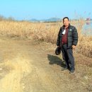 금강하구둑관광지 이미지