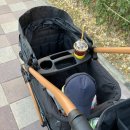 조코라인 이미지