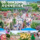 곡성 세계 장미축제 곡성섬진강기차마을 장미공원 실시간
