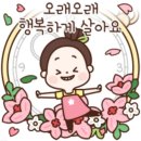 대구남구시니어클럽해피데이꽃집
