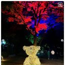 장승남로 34번길 | 겨울 인천 가볼만한곳, 남동구 빛의 거리 5곳 위치 및 지도 총정리 (소래/서창/만수)