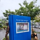 영천시립도서관 | 영천시립도서관이용시간 및 위치 안내, 다양한 프로그램 소개