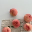 경봉마트 | [마감]딱딱이복숭아 3kg, 5kg 공구/경봉복숭아/달콤한 복숭아/맛있는 딱복/딱딱이 복숭아 보관법/후숙...