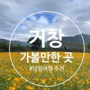 코스모스여행사주 네이버블로그