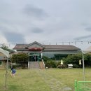 내곡동657 | 대구 동구 애견카페 | 실내와 야외 모두있는 “프리독” 넓은 잔디 운동장 뛰뛰 다녀왔어요💛