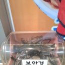 청수6로 | 보령 천북굴단지 축제맛집 굴 식당 고르는 팁! feat.청수굴집수산