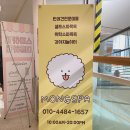 몽스파 연제점 | 부산 연제구; 몽스파 (위탁 및 케어) + ‘22년 9월 새 후기 추가
